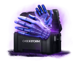 CASE Gloves