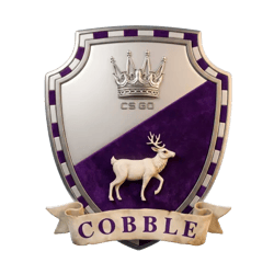 CASE COBBLESTONE