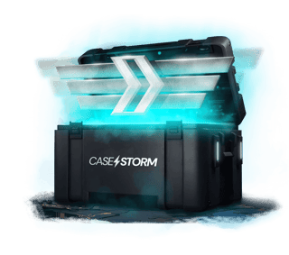 CASE Silver Case