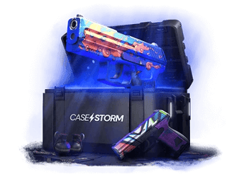 CASE P2000