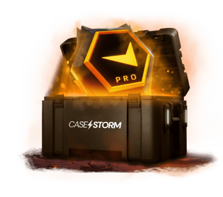 CASE FPL