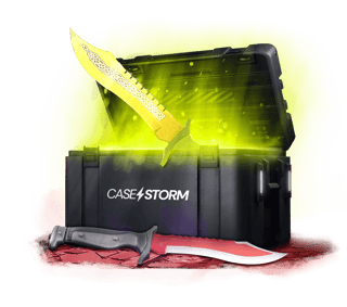 CASE Bowie Case