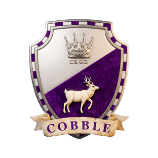 CASE COBBLESTONE
