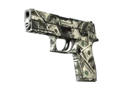 P250 | Franklin (Field-Tested)