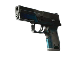 P250 | Valence (Battle-Scarred)