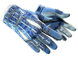 ★ Sport Gloves | Amphibious (Well-Worn)