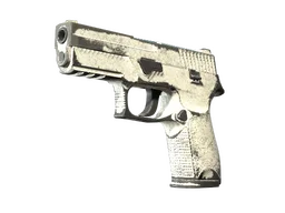 P250 | Whiteout (Battle-Scarred)