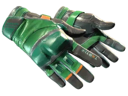 ★ Moto Gloves | Turtle (Well-Worn)