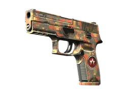 P250 | Red Rock (Factory New)