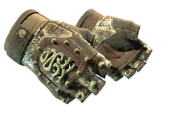 ★ Hydra Gloves | Rattler (Well-Worn)