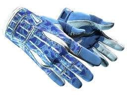 ★ Sport Gloves | Amphibious (Minimal Wear)