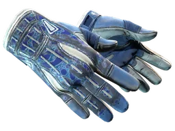 ★ Sport Gloves | Amphibious (Battle-Scarred)