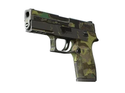 P250 | Boreal Forest (Battle-Scarred)