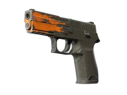 P250 | Splash (Field-Tested)