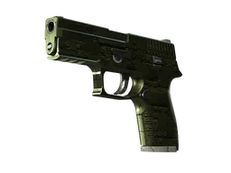 P250 | Iron Clad (Field-Tested)