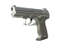 P2000 | Silver (Minimal Wear)