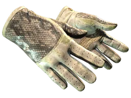 ★ Driver Gloves | King Snake (Battle-Scarred)