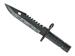 ★ M9 Bayonet | Night (Battle-Scarred)