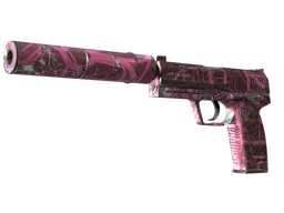 USP-S | Target Acquired (Field-Tested)