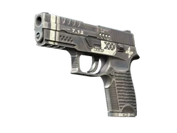 StatTrak™ P250 | Re.built (Factory New)