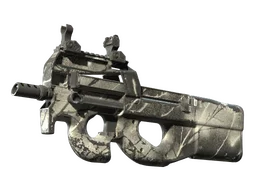 P90 | Ash Wood (Field-Tested)