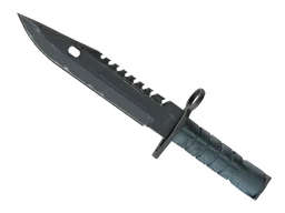 ★ M9 Bayonet | Night (Field-Tested)