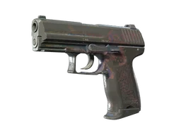 P2000 | Coral Halftone (Battle-Scarred)