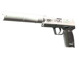 StatTrak™ USP-S | Printstream (Well-Worn)