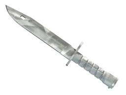 ★ Bayonet | Urban Masked (Minimal Wear)