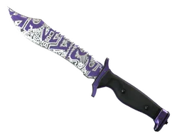 ★ Bowie Knife | Freehand (Field-Tested)