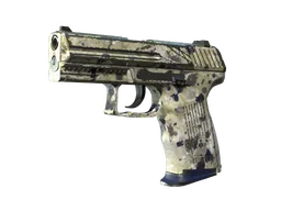 P2000 | Granite Marbleized (Well-Worn)