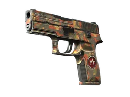 P250 | Red Rock (Battle-Scarred)