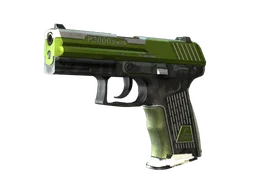 P2000 | Turf (Field-Tested)