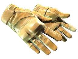 ★ Moto Gloves | Transport (Field-Tested)