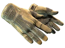 ★ Sport Gloves | Arid (Battle-Scarred)
