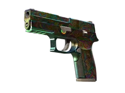 P250 | Visions (Battle-Scarred)