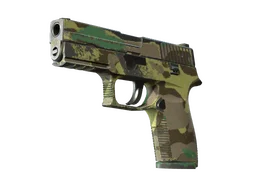 P250 | Boreal Forest (Well-Worn)