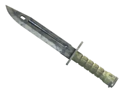 ★ Bayonet | Stained (Field-Tested)