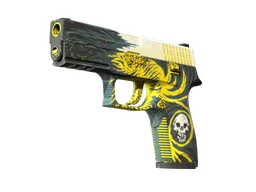 StatTrak™ P250 | Wingshot (Well-Worn)