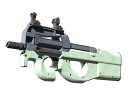 P90 | Storm (Well-Worn)