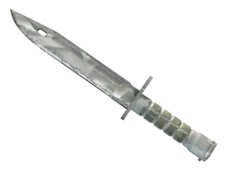★ Bayonet | Urban Masked (Field-Tested)