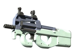 P90 | Storm (Factory New)