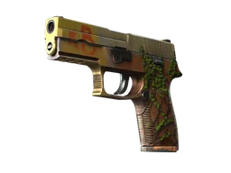 P250 | Inferno (Field-Tested)