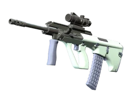 AUG | Storm (Factory New)