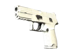 P250 | Whiteout (Well-Worn)