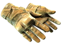 ★ Moto Gloves | Transport (Battle-Scarred)