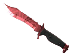 ★ StatTrak™ Bowie Knife | Slaughter (Minimal Wear)