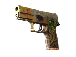 P250 | Inferno (Minimal Wear)