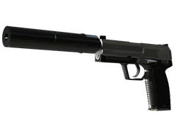 StatTrak™ USP-S | Stainless (Factory New)