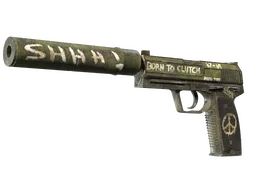 USP-S | Flashback (Factory New)